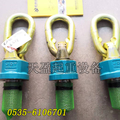 TP6.7德國JDT旋轉吊環M30x35,機械廠用旋轉吊環